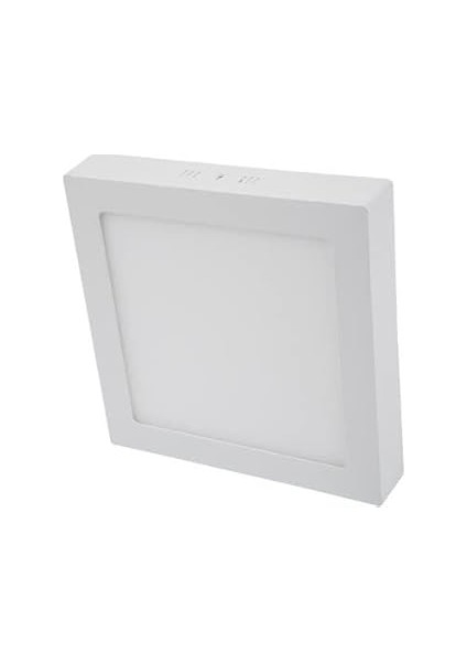 Cata CT-5272 25 Watt Sıva Üstü LED Armatür(Günışığı)