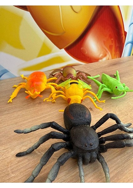 Böcek Hayvan Seti Oyuncak Böcekler Vahşi Hayvanlar Örümcek Sinek Böcek Çekirge Seti 5 Parça Büyük fırsatları