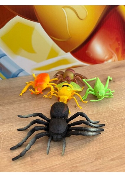 Böcek Hayvan Seti Oyuncak Böcekler Vahşi Hayvanlar Örümcek Sinek Böcek Çekirge Seti 5 Parça Büyük indirimleri