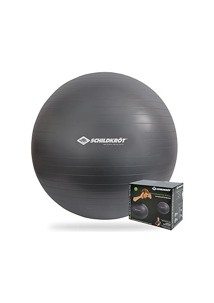 Schildkröt Jimnastik Topu, Patlama Önleyici Kalite, Hava Pompası Dahil, Ftalat Içermez, Dört Farklı