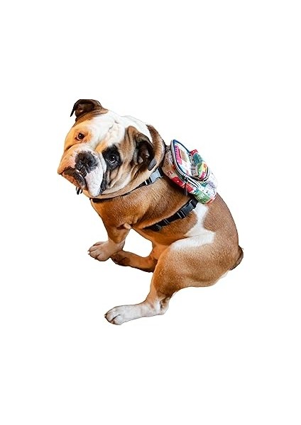 Pawlook Çantalı Göğüs Tasması Large