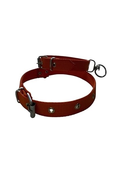 Orta Boy Köpek Tasması Turuncu 50