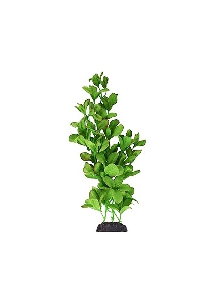 Underwater Treasures Ipek Bacopa Monnieri - 30,48 cm