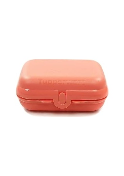 To Go Twin Somon Beslenme Kutusu, Yemek Kutusu, Ikiz Küçük, Boyut 2