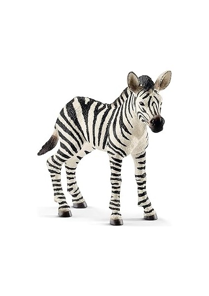 Schleich-Wild Life-Yavru Zebra