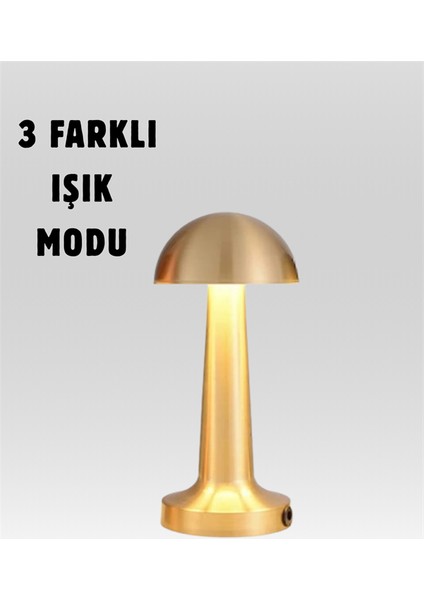 %100 Kademeli Ayarlanabilir Işık – USB Şarjlı Masa Lambası - MK001R-4OA075 fiyatları