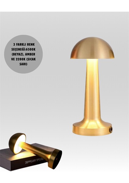 %100 Kademeli Ayarlanabilir Işık – USB Şarjlı Masa Lambası - MK001R-4OA075 indirimleri