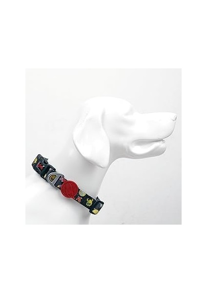 Tailpetz Boyun Tasmaları (Large, Space)