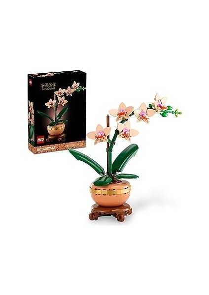 Botanicals Orkide 10343 – Açık Renkli Terakota Saksı ve Ahşap Efektli Kaide Içeren Yetişk