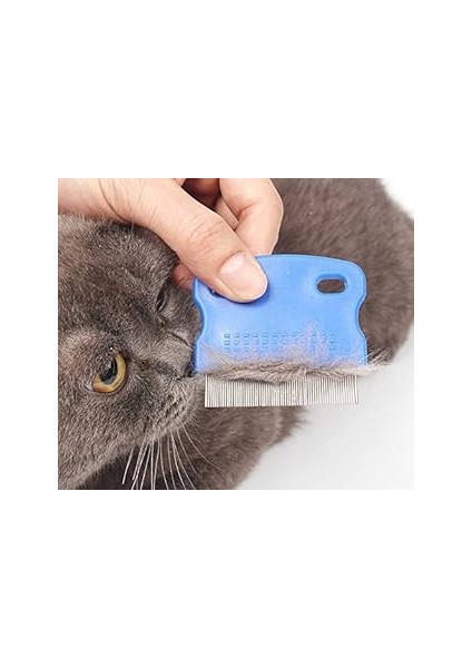 Kedi Köpek Bit Pire Tarağı