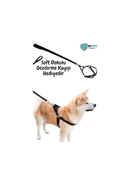 Bypet Tabanlı Güvenli ve Konforlu Köpek Göğüs Tasması Seti