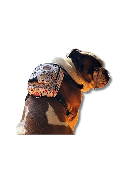Pawlook Köpek Sırt Çantası – 2’si 1 Arada Göğüs Tasması Fonksiyonlu, Geri Dönüştürülmüş, Su Geçirme
