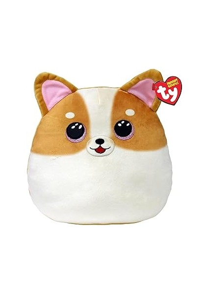 Ty Tanner Dogsquısh 10