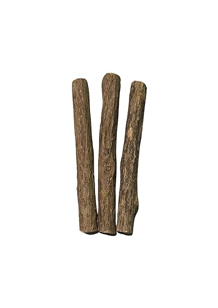 Pawdaz Matatabi - Stick Diş Temizlemeye ve Stres Gidermeye Yardımcı Doğal Oyuncak