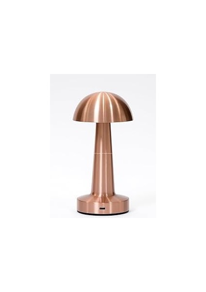 Busstier Mantar Şekilli Masa Lambası 3 Fonksiyonlu Şarjlı LED Aydınlatma Dokunmatik Kontrol Dekorat