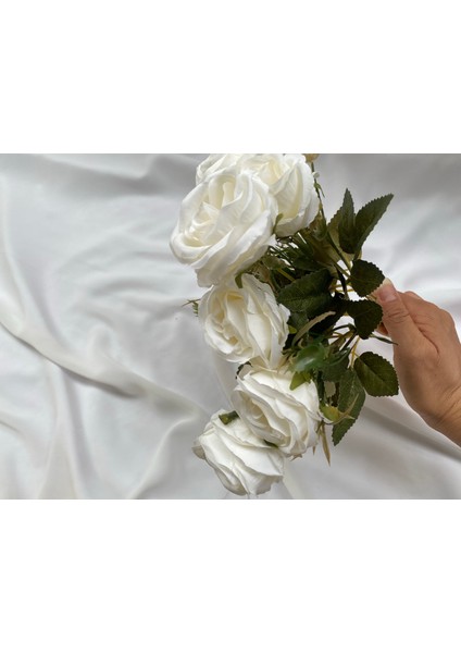 Söz Tepsisi Ayaklı Nişan Tepsisi Gümüş Renkli Tepsi Damat Kahvesi fırsatları