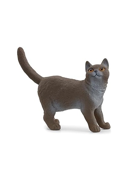 Schleich British Shorthair Kedi, Oyuncak Figür