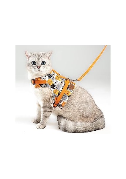 Patipatron Kaçış Önleyici Kedi Gezdirme Tasması ve Küçük Irk Köpek Gezdirme Tasması (M, Turuncu Ked