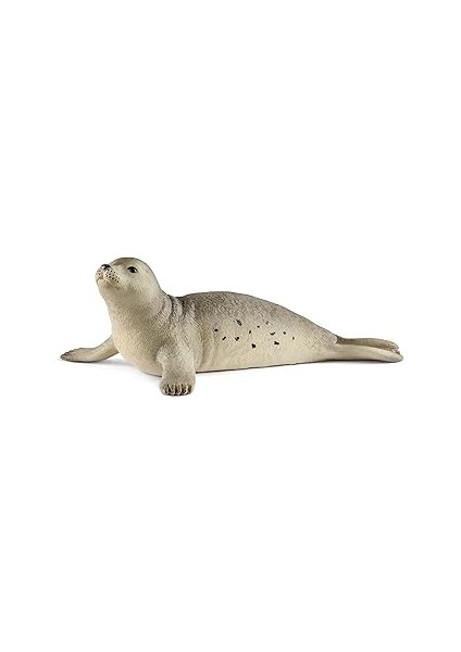 Schleich 14801 Fok Oyuncak Figürü, Çok Renkli