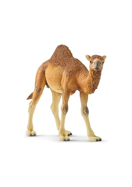Schleich 14832 Hörgüçlü Deve Oyuncak Figürü, Çok Renkli