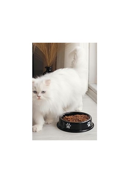 Emaye Kedi Köpek Mama ve Su Kabı Pati Desen,night