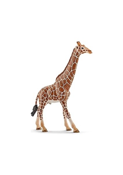 Schleich-Wild Life-Erkek Zürafa