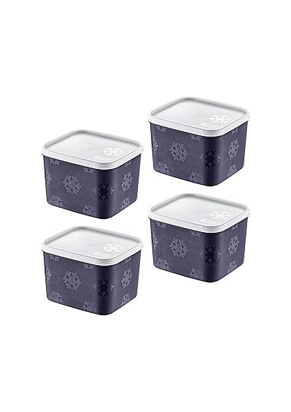 Smartware 4'lü Set Frost Saklama Kabı Lacivert 1250 ml