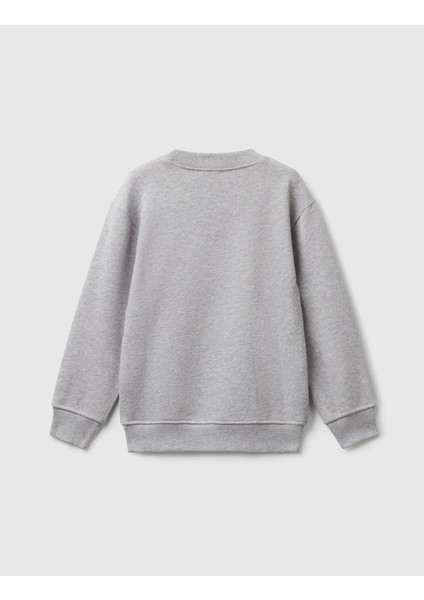 Erkek Çocuk Sweatshirt 10JY 1/6 Yaş fiyatları