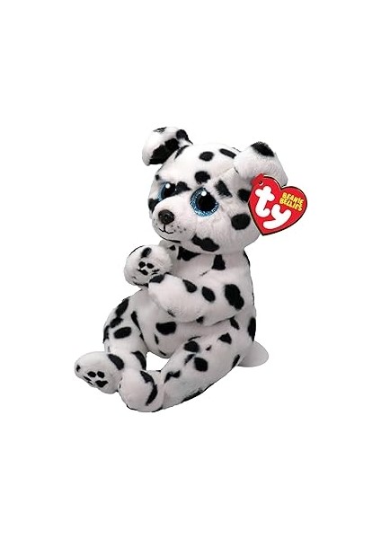 Ty Beanie Bellie Rowdy - Dalmaçya Köpeği - 15,24 Cm, Beyaz/siyah