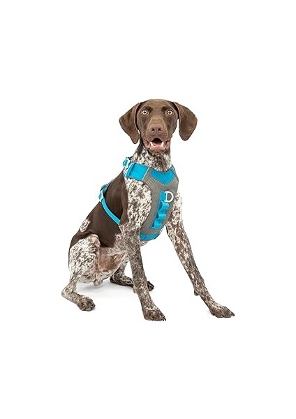 Kurgo Journey Köpek Koşum Takımı, Dolgulu Göğüs Kısmı ve Saplı, 11-23 kg Arası Köpekler Için, M