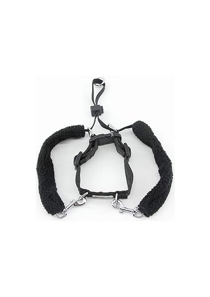 Pawise Dog M (1"X16-24") Eğitim Tasması