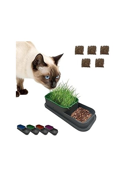 Madpet Topraksız Kedi Çimi Kabı Turuncu – 5 Paket Çim Tohumlu Hidroponik Çim Yetiştirme Seti – Kedi
