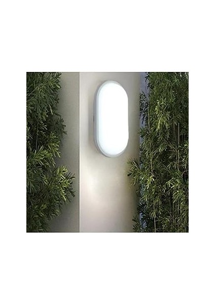 Ucuz Geldi Banyo Tavan Lambası Aydos 20W Oval Balkon Tavan Lambası 6400K Beyaz LED Işık Teras Duvar