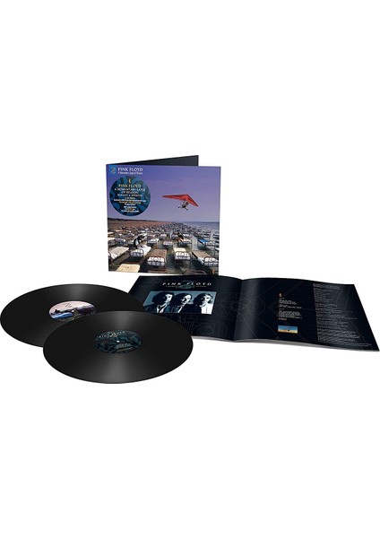 Pınk Floyd - A Momentary Lapse Of Reason (180G) - 2 Plak