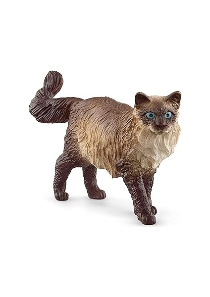 Schleich Ragdoll Kedi