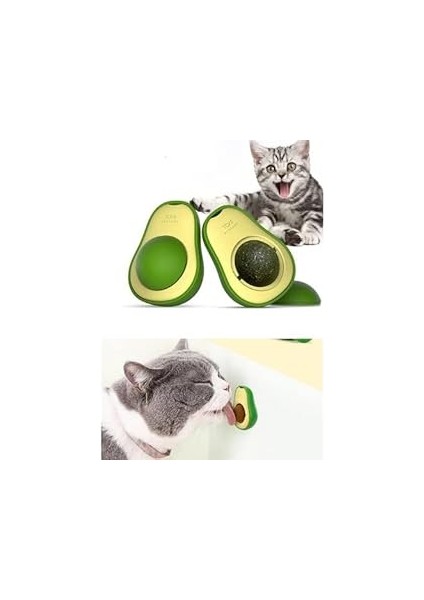 Petistera Avokado Catnip (Kedi Nanesi) Yalama Topu
