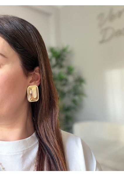 Çelik Carry Küpe fiyatları