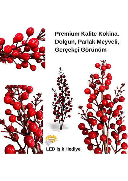 1 Adet Işıklı Kokina Çiçeği Kokina Demet Yılbaşı Süsü Yapay Çiçek Yapak Kokina Çiçek Yılbaşı Çiçeği indirimleri