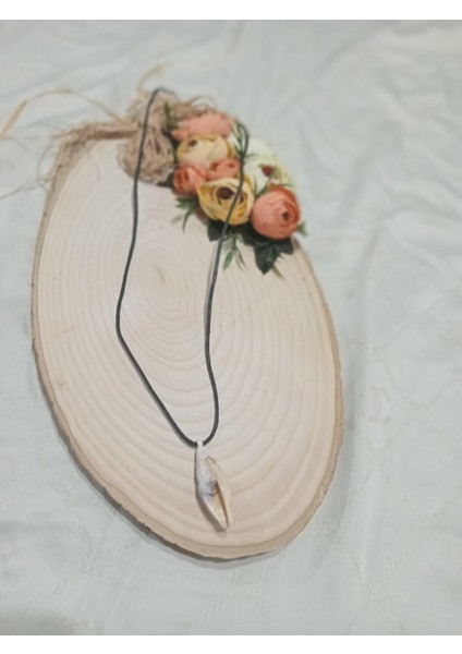 Uzun Deri Ipli Denizkabuğu Uçlu Kolye