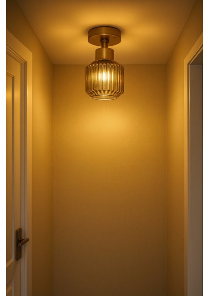 Eriksen Modern Tasarım Antre Hol Mutfak Çocuk Odası Plofonyer Tavana Sıfır Minimal Camlı Tekli Avize