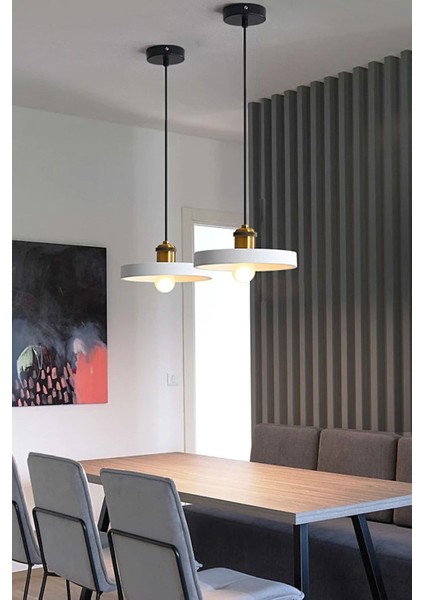 Loft Modern Tasarım 25 cm Çap 1 Adet Metal Renkli Tekli Mutfak Oda Sarkıt Avize