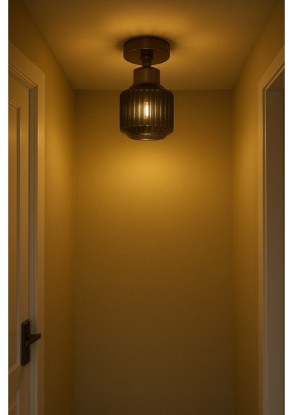 Eriksen Modern Tasarım Antre Hol Mutfak Çocuk Odası Plofonyer Tavana Sıfır Minimal Camlı Tekli Avize