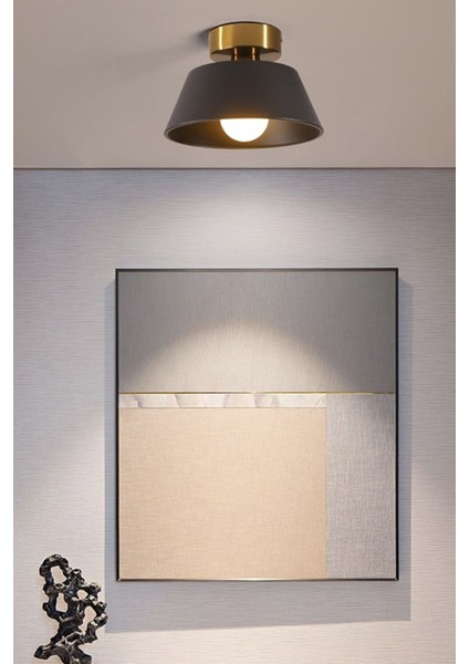 Dolly Modern Hol Koridor Giriş Için Tekli Plofonyer Metal Avize