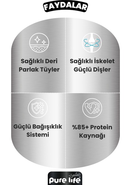 Plus 24'lü Kuzulu Yavru Puppy Köpek Konserve Chunk Parça Etli Yaş Mama 400 gr fiyatları