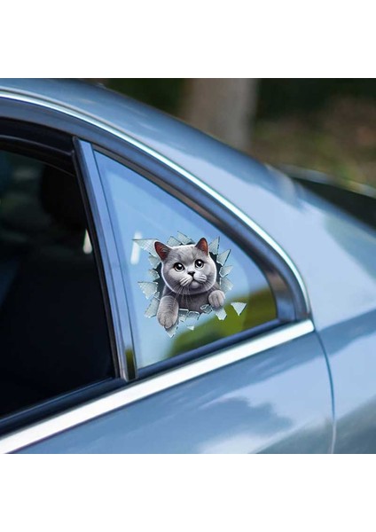 British Araç Stickerı fiyatları