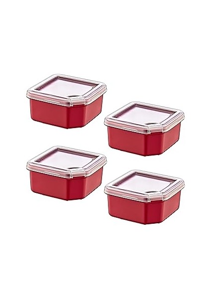 Smartware 4'lü Q-Box Saklama Kabı Carmen 350 ml
