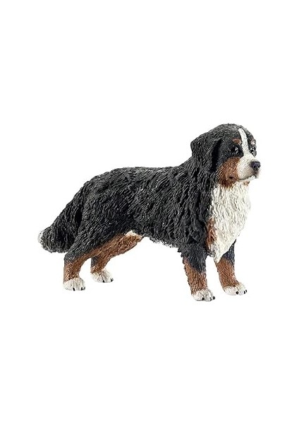 Schleich-Farm World-Dişi Bernese