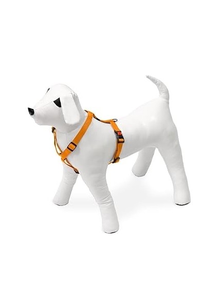 Karlie Kilitli Göğüs Tasma, Köpek, M, 45-70 Cm, Turuncu