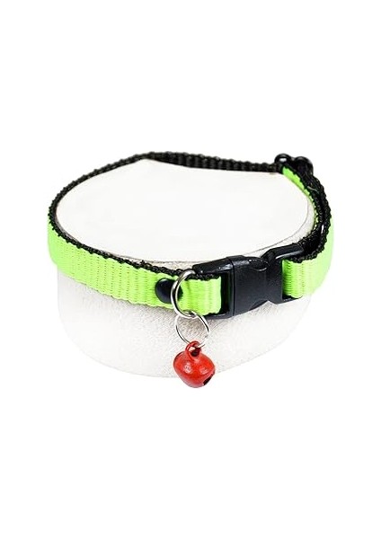 Neon Zilli Kedi Tasması Fıstık Yeşili Boyun Tasma Ayarlı