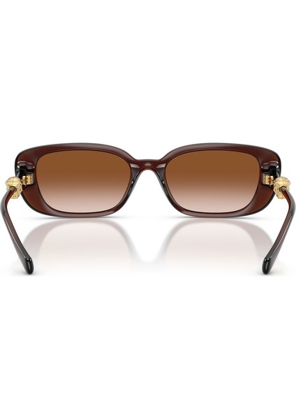 Güneş Gözlüğü VE4504D 56 533213 fiyatları